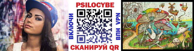 Купить  Исилькуль  Псилоцибиновые грибы Psilocybine cubensis 